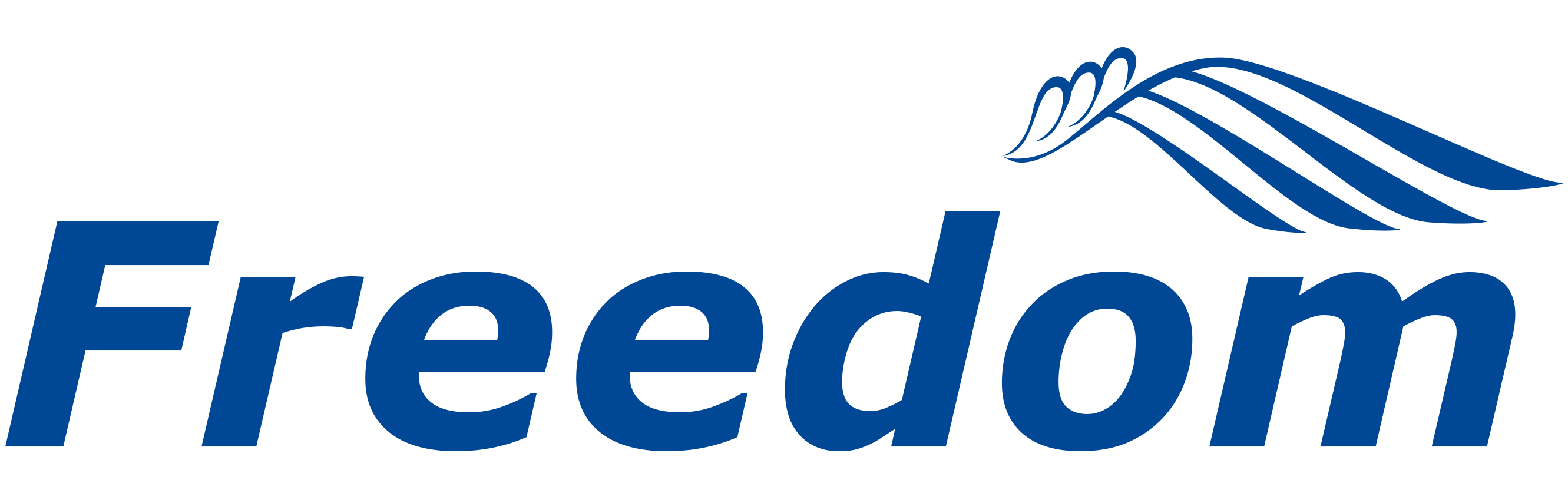 相談支援センターFreedom